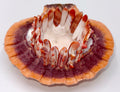 Spiny Oyster Bracelet
