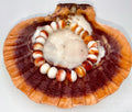 Spiny Oyster (Orange and White) Bracelet